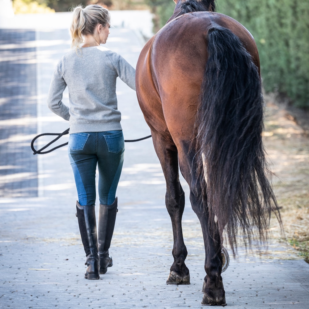 Riding breeches  Fiona CRW®