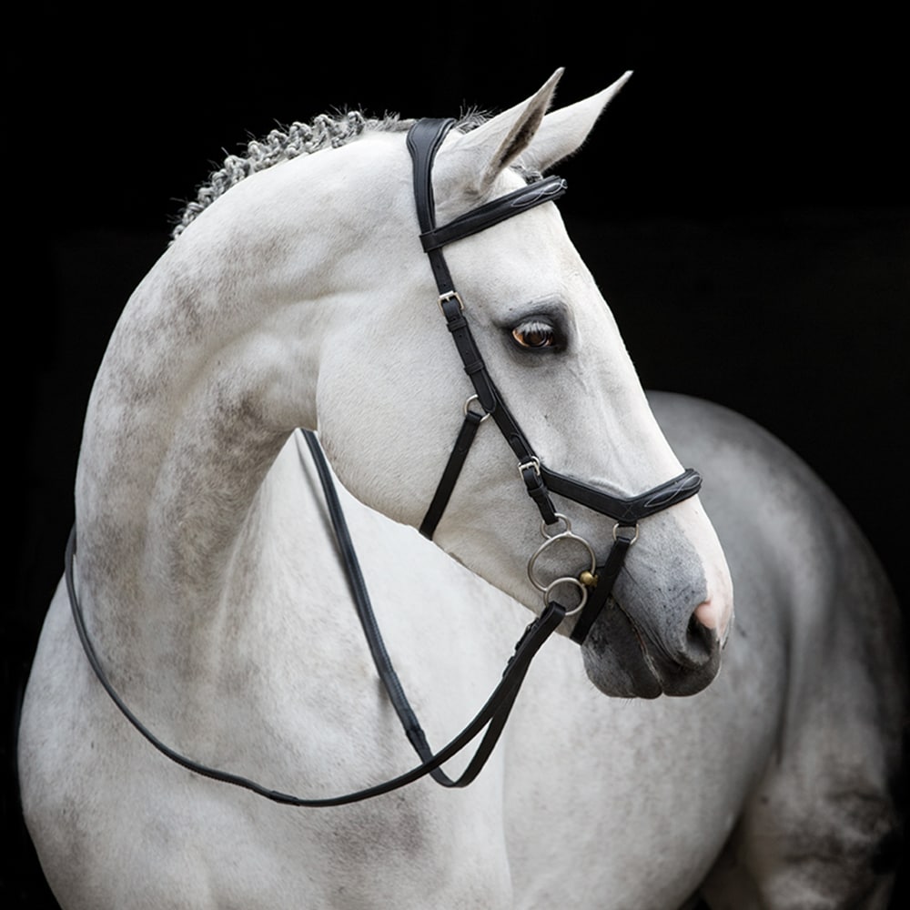 Bridles  Micklem® Deluxe Competition Horseware®