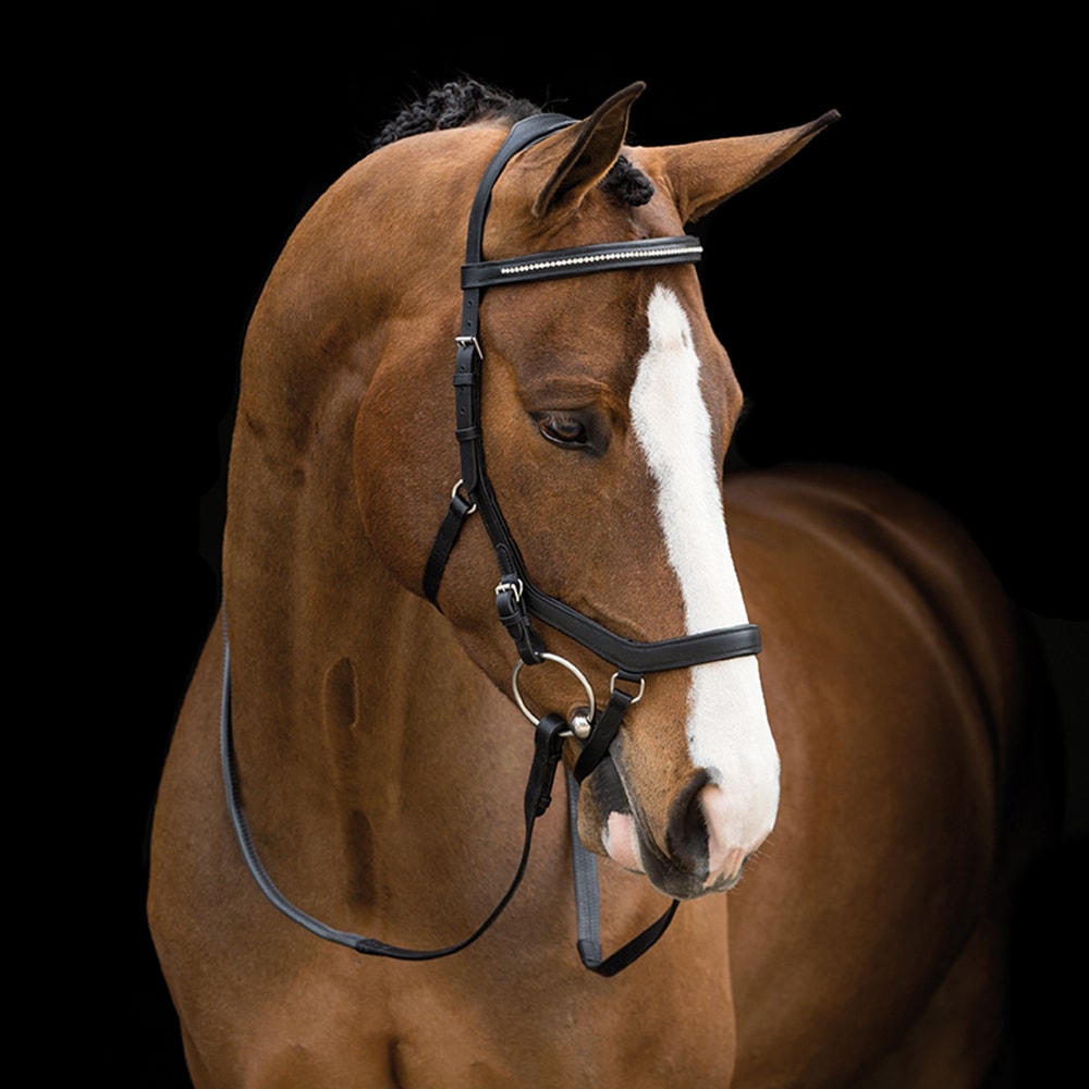 bridles