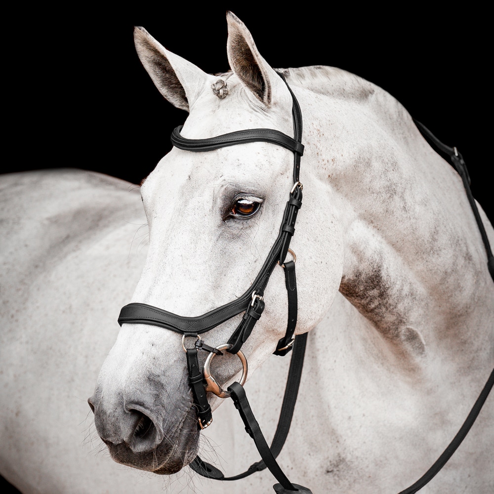 Bridles  Micklem Competition Horseware®