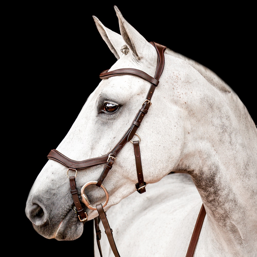 Bridles  Micklem Competition Horseware®