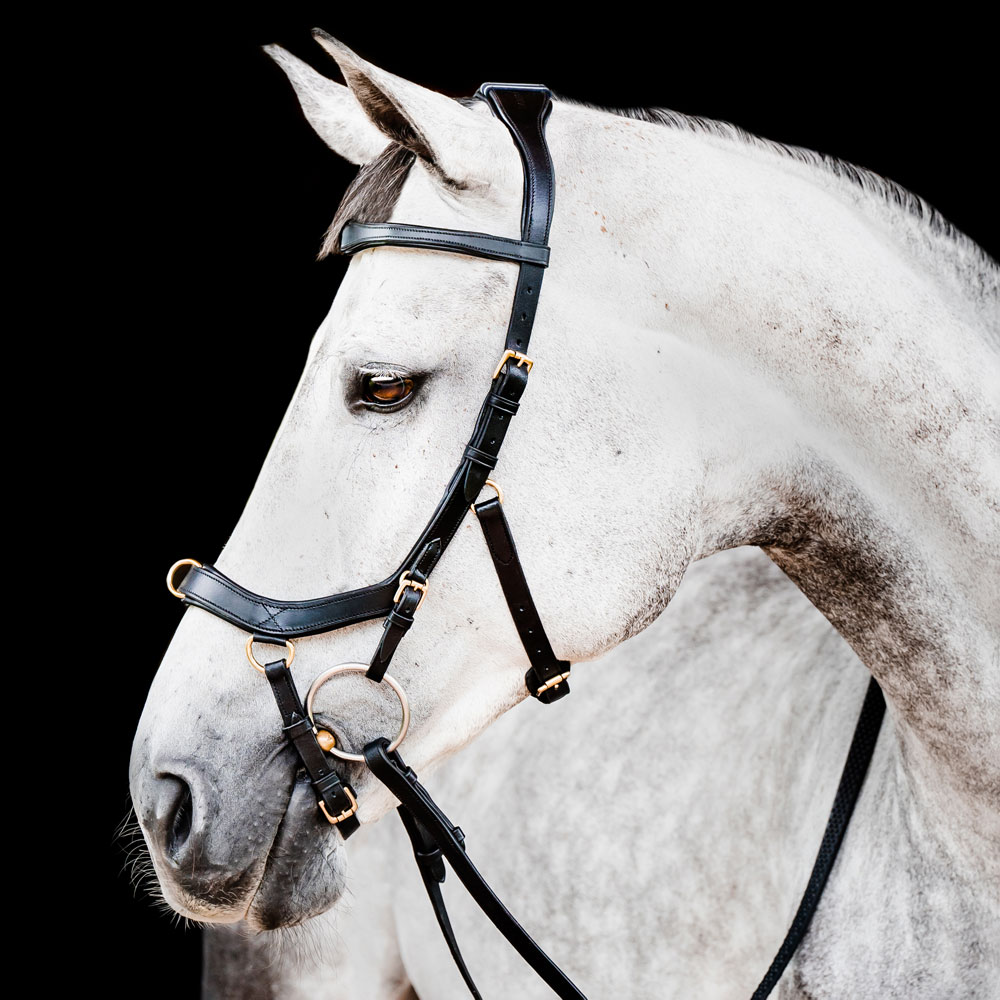 Bridles  Micklem Multibridle Horseware®