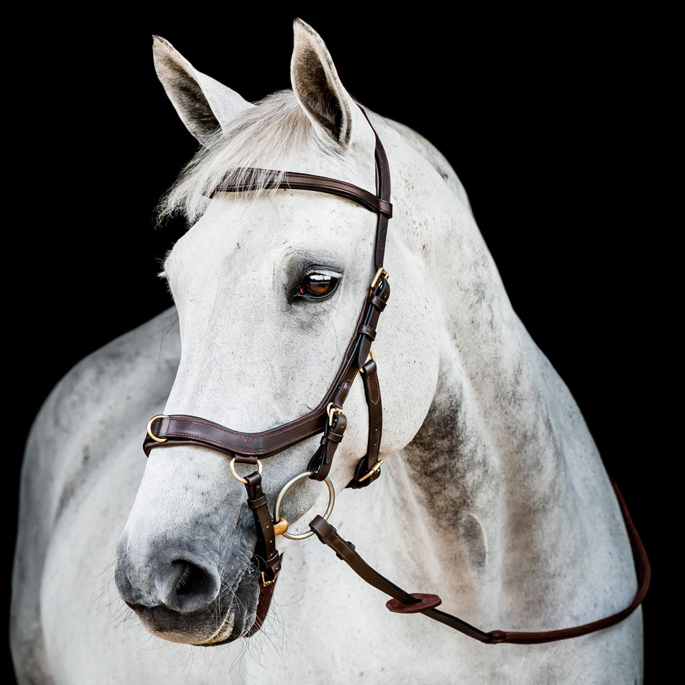 Bridles  Micklem Multibridle Horseware®