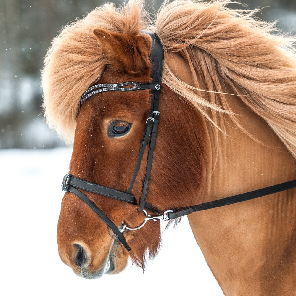 Combined noseband   Fairfield®