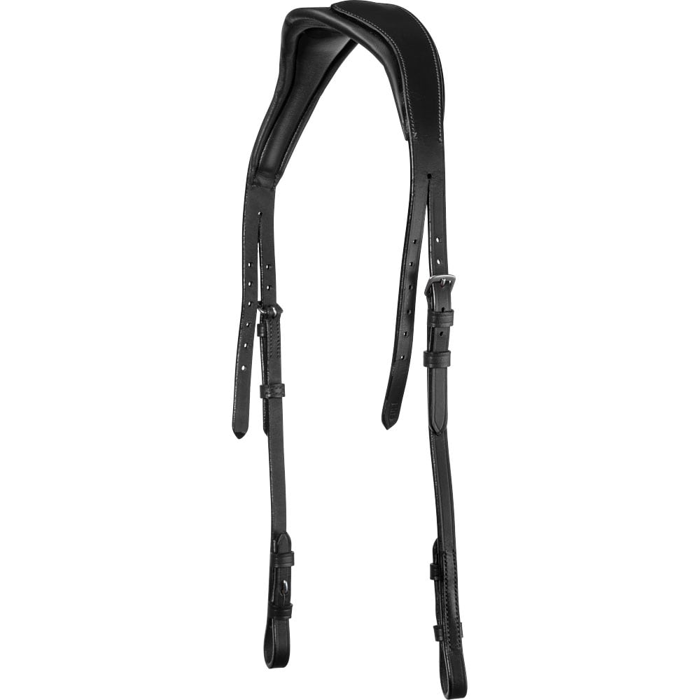 Bridle   Fairfield®