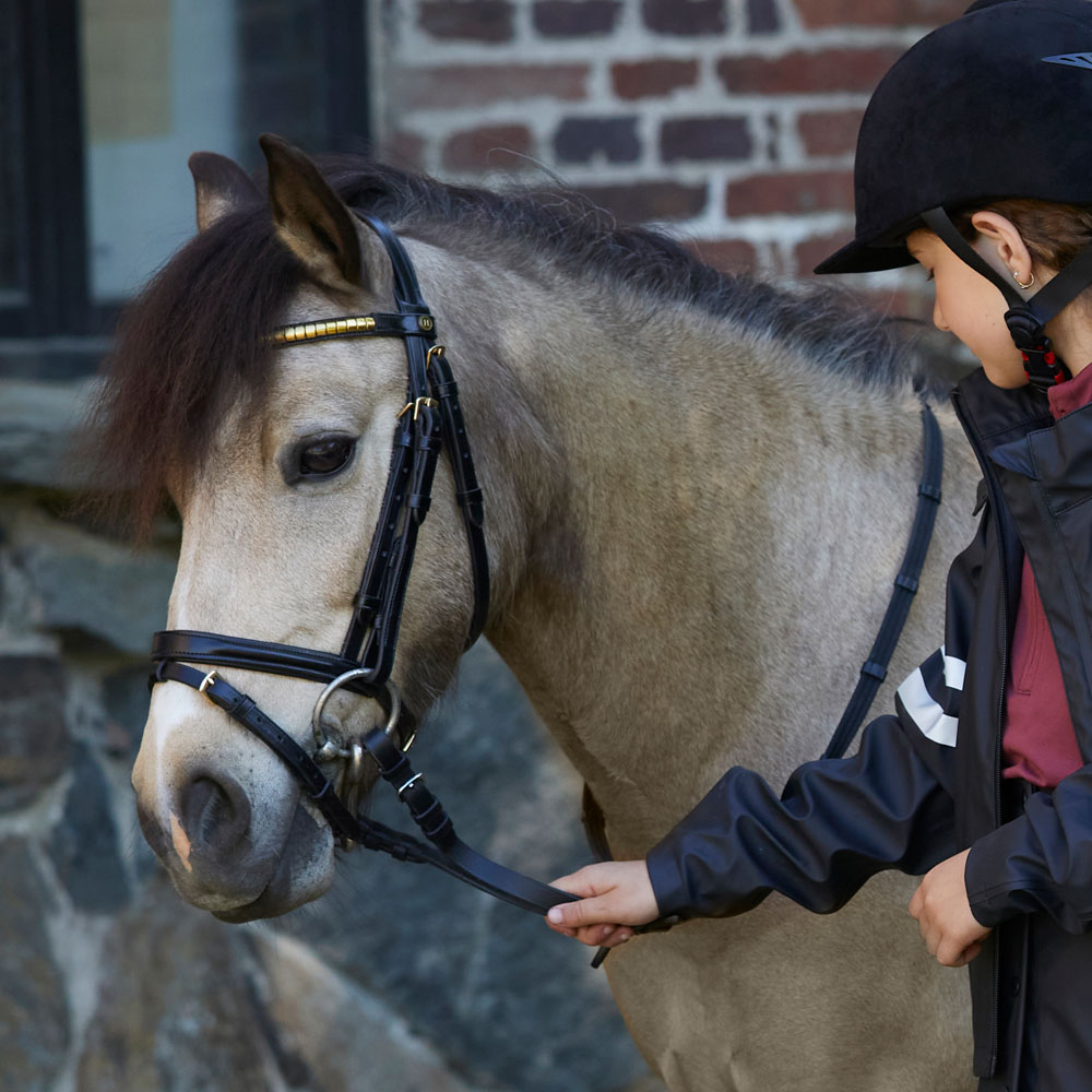 Combined noseband bridle  Cossira JH Collection®