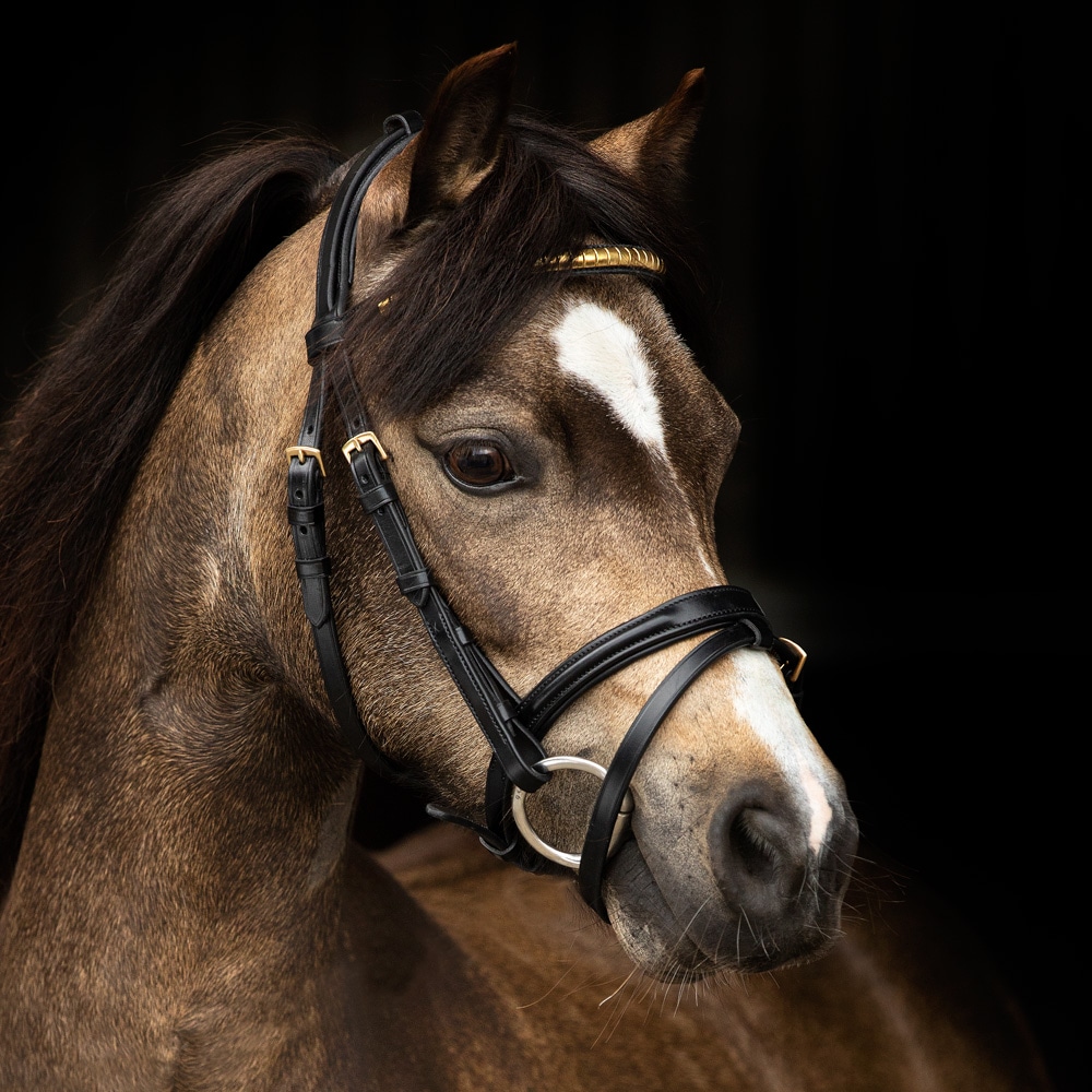 Combined noseband bridle  Cossira JH Collection®
