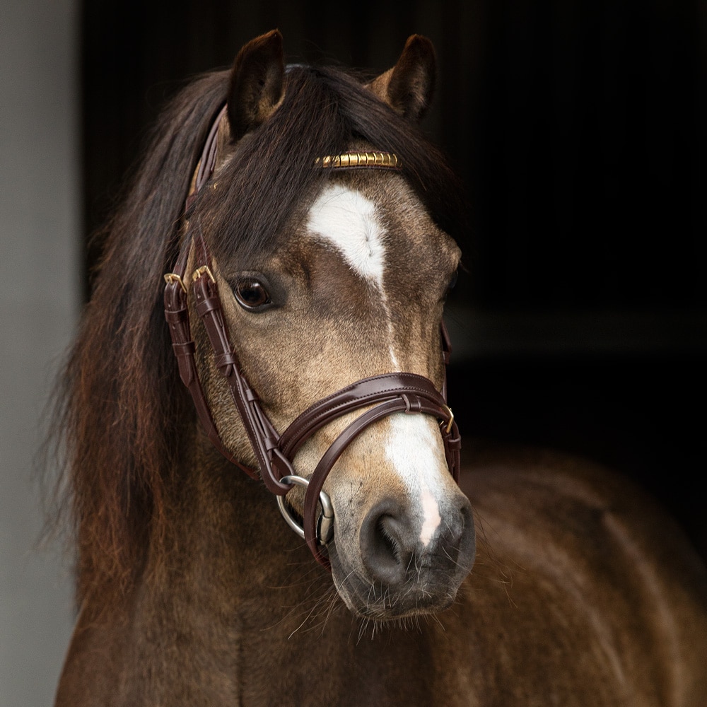 Combined noseband bridle  Cossira JH Collection®