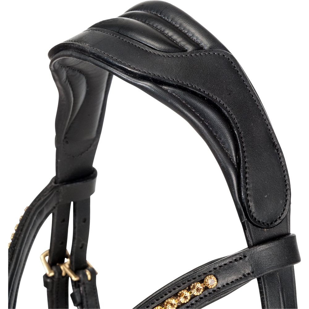 Bridles  Chester Fairfield®