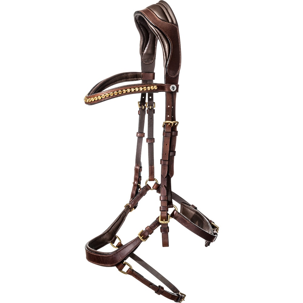 Bridles  Chester Fairfield®