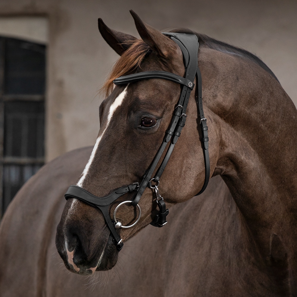 Bridles  Ashton Fairfield®