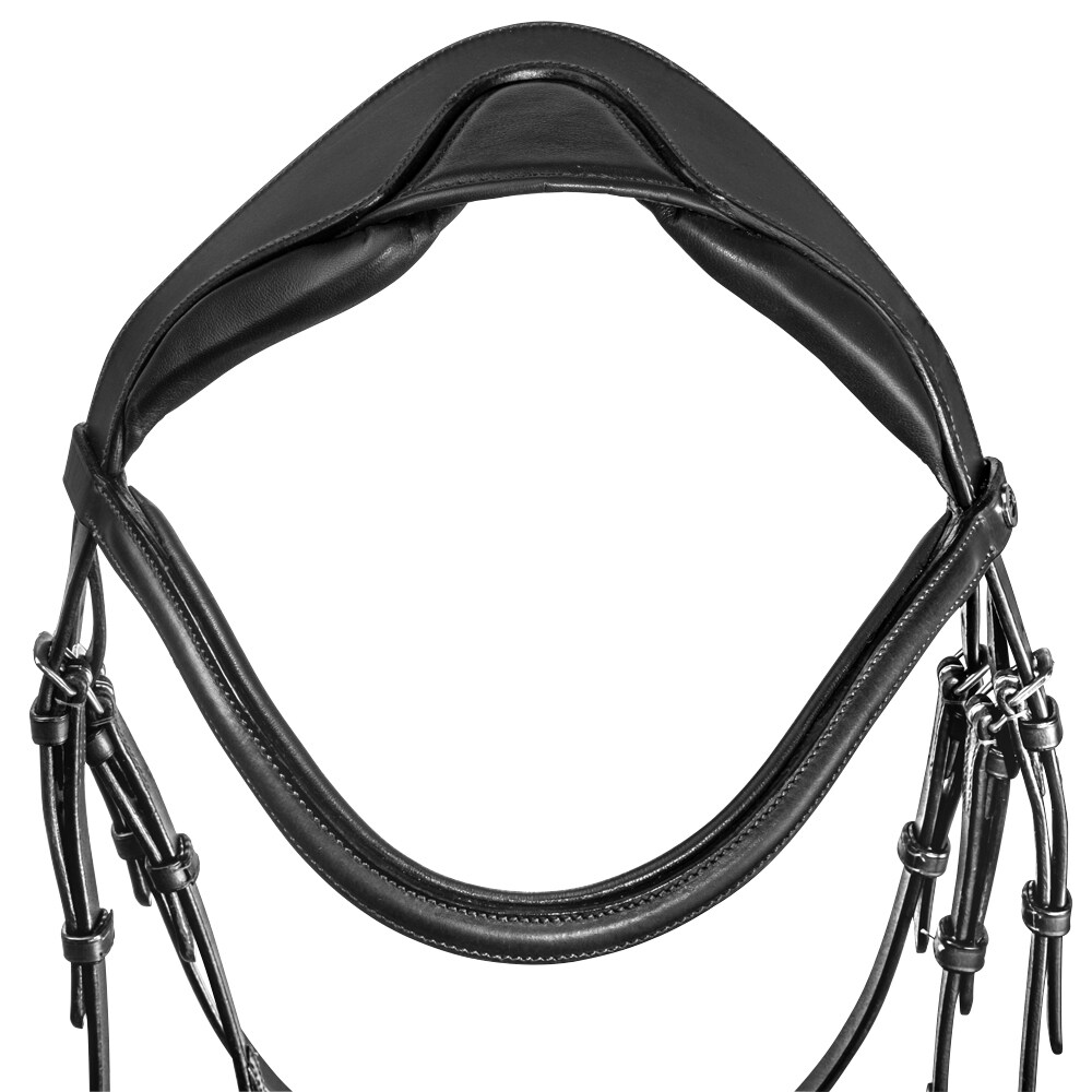 Bridles  Ashton Fairfield®