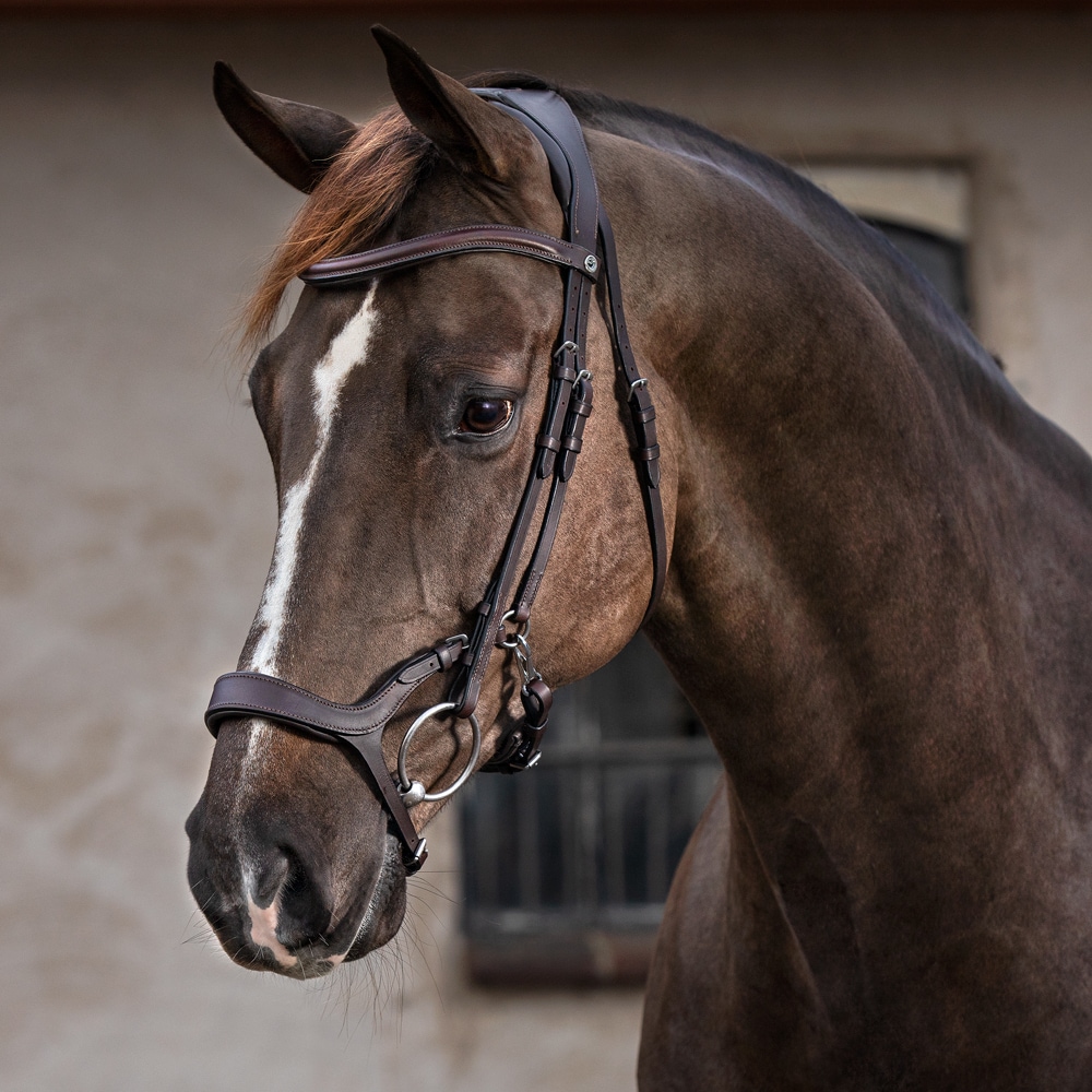 Designer Saddle Pouch – Hot Headstalls