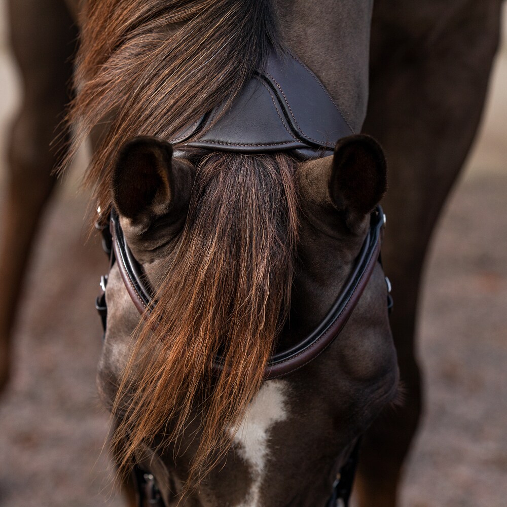 Bridles  Ashton Fairfield®