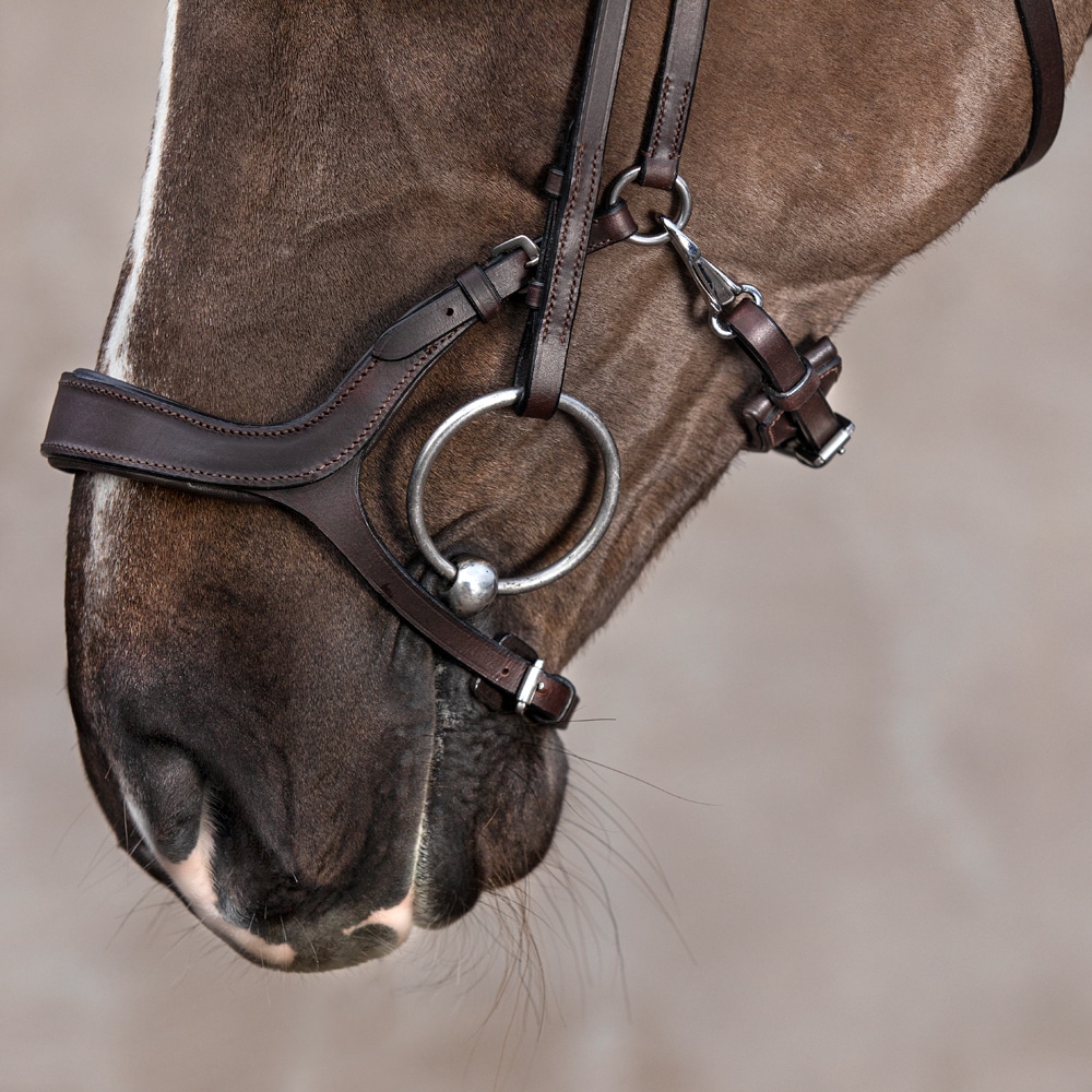 Bridles  Ashton Fairfield®