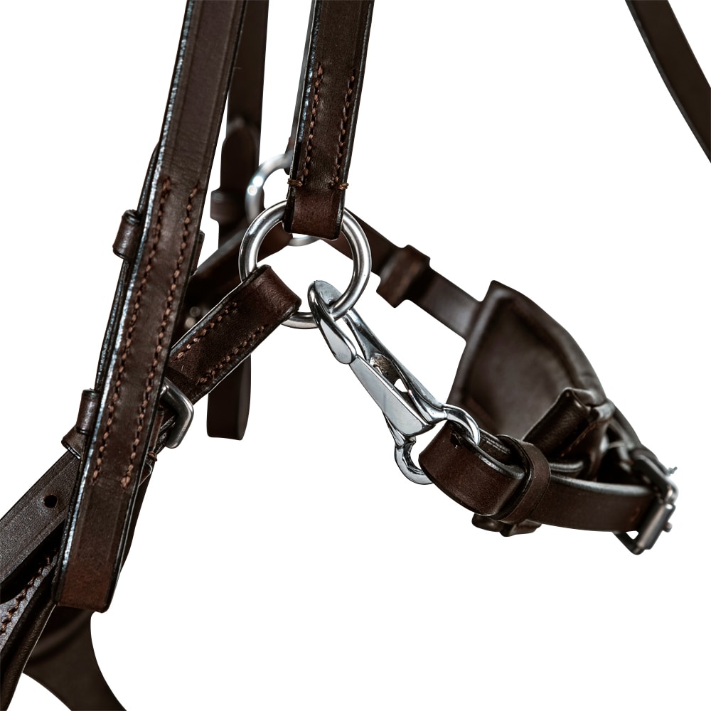 Bridles  Ashton Fairfield®