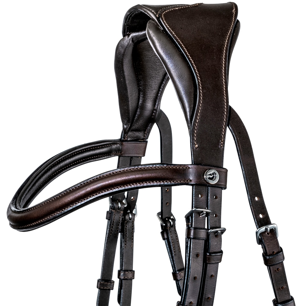 Bridles  Ashton Fairfield®