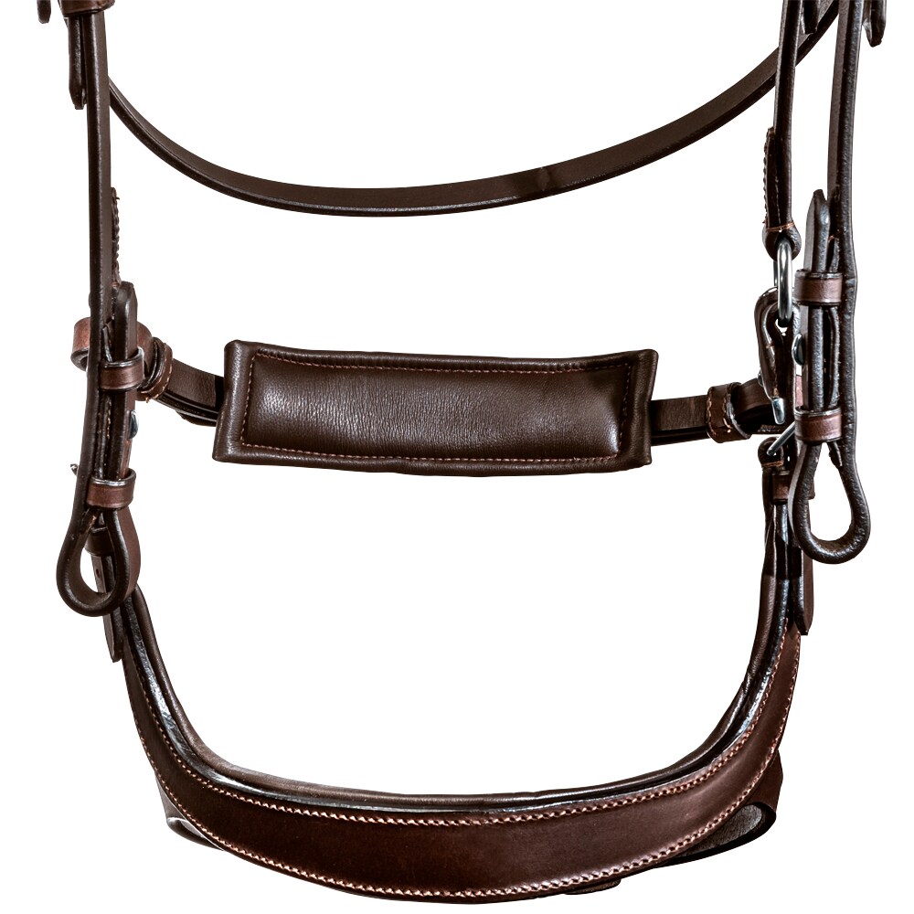 Bridles  Ashton Fairfield®