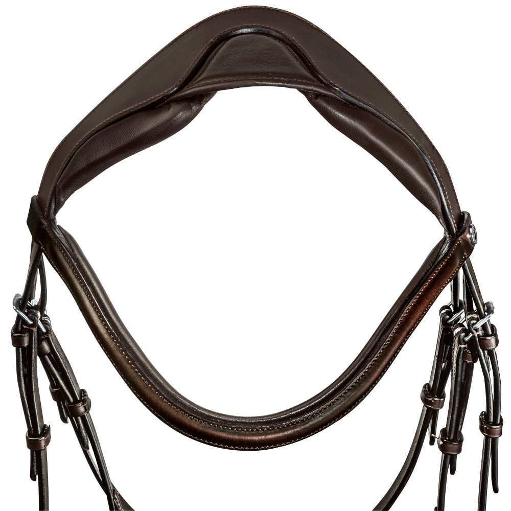 Bridles  Ashton Fairfield®