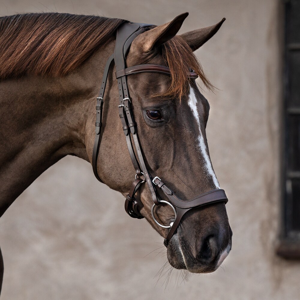 Bridles  Ashton Fairfield®