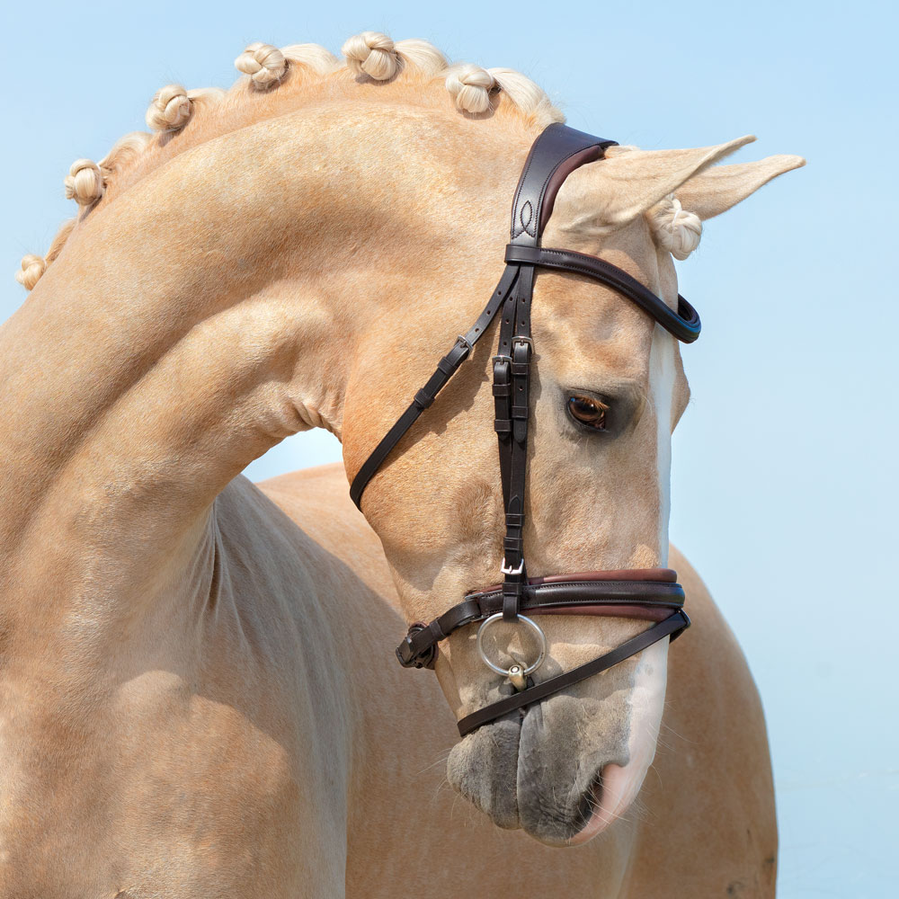 Combined noseband bridle  Saffron Fairfield®