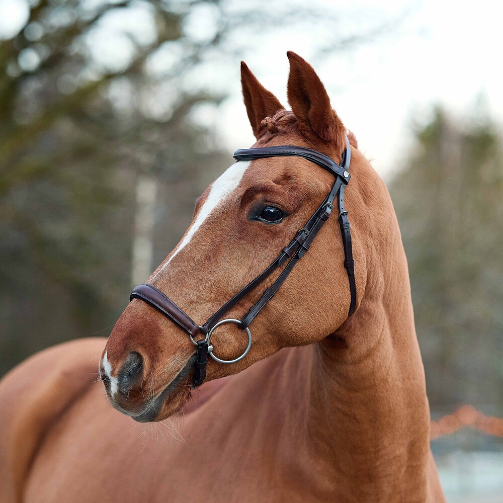 Drop noseband bridle  Falston Fairfield®