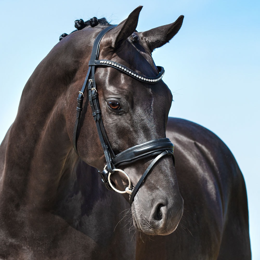 Combined noseband bridle  Halmore Fairfield®