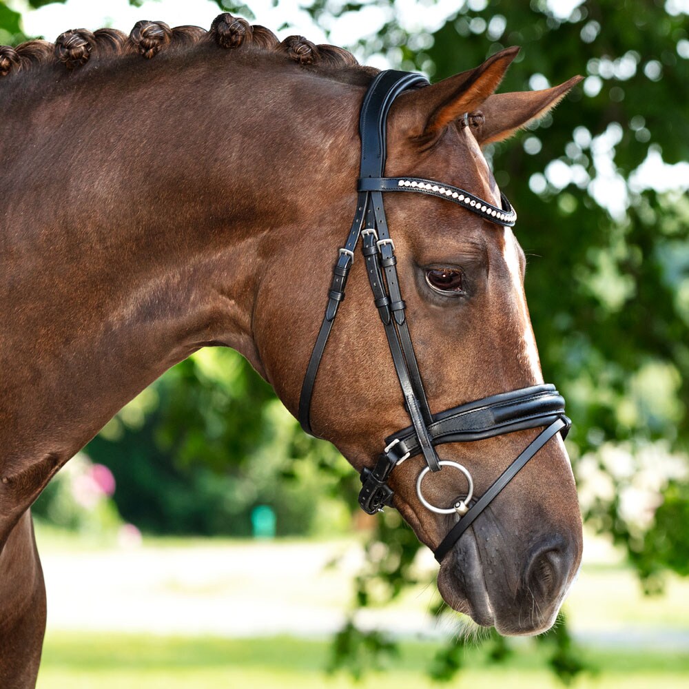 Combined noseband bridle  Halmore Fairfield®