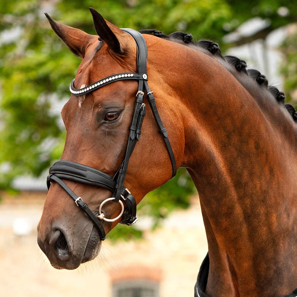 Combined noseband bridle  Halmore Fairfield®