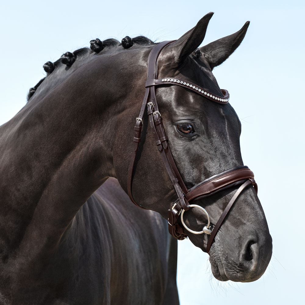 Combined noseband bridle  Halmore Fairfield®