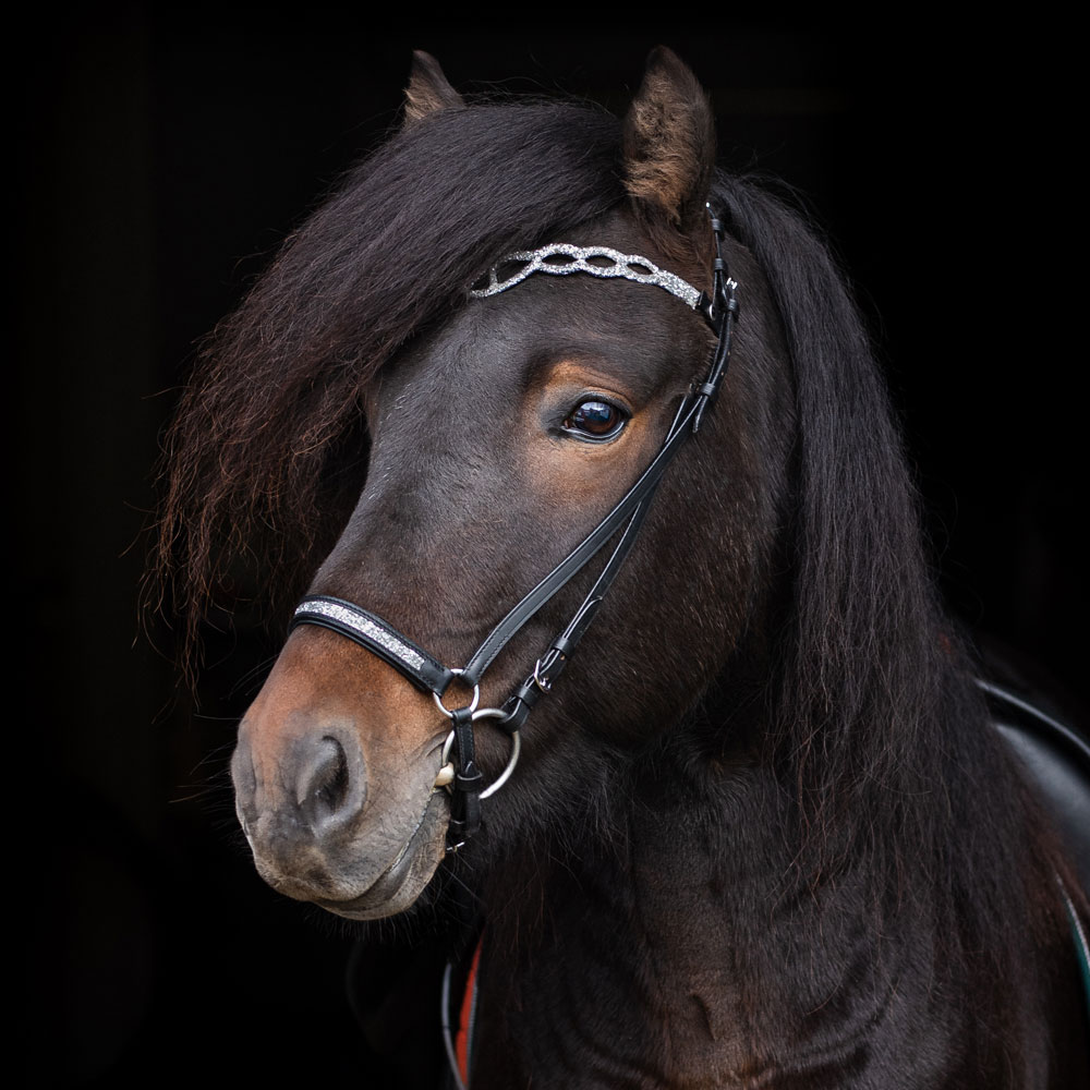 Icelandic bridle  Ytra Fairfield®
