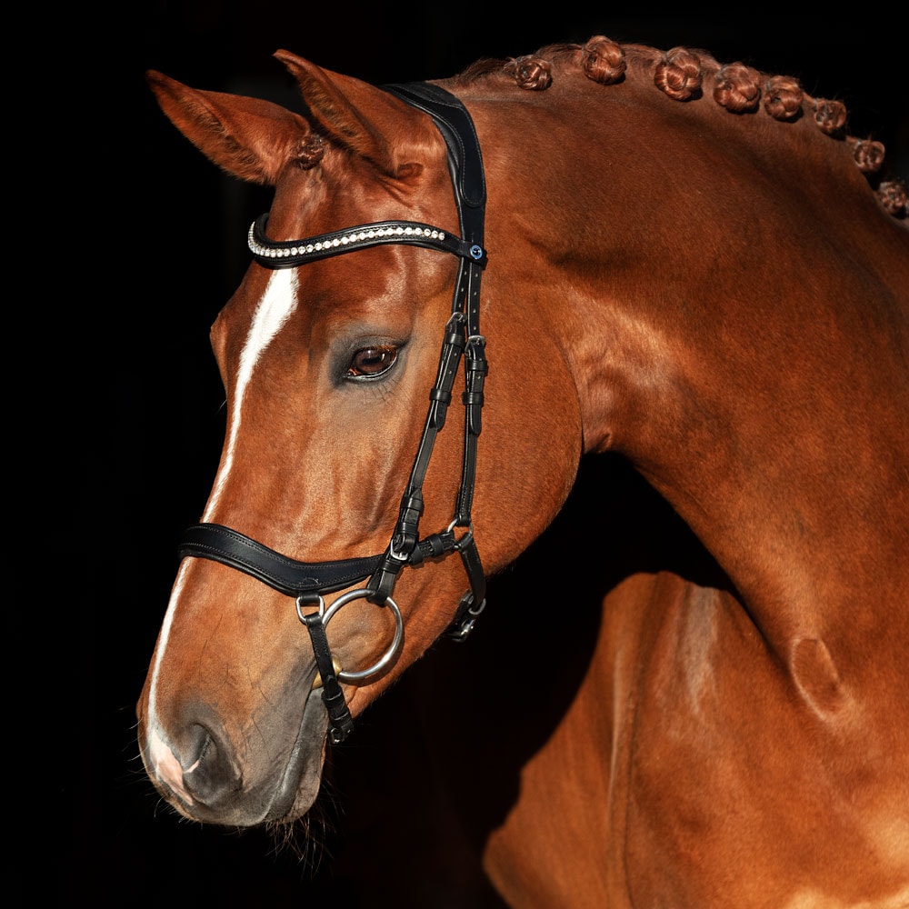 Bridles  Chester II Fairfield®