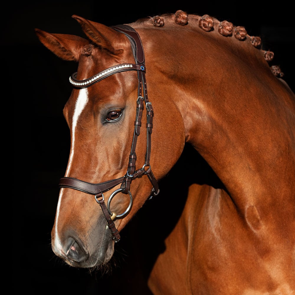 Bridles  Chester II Fairfield®