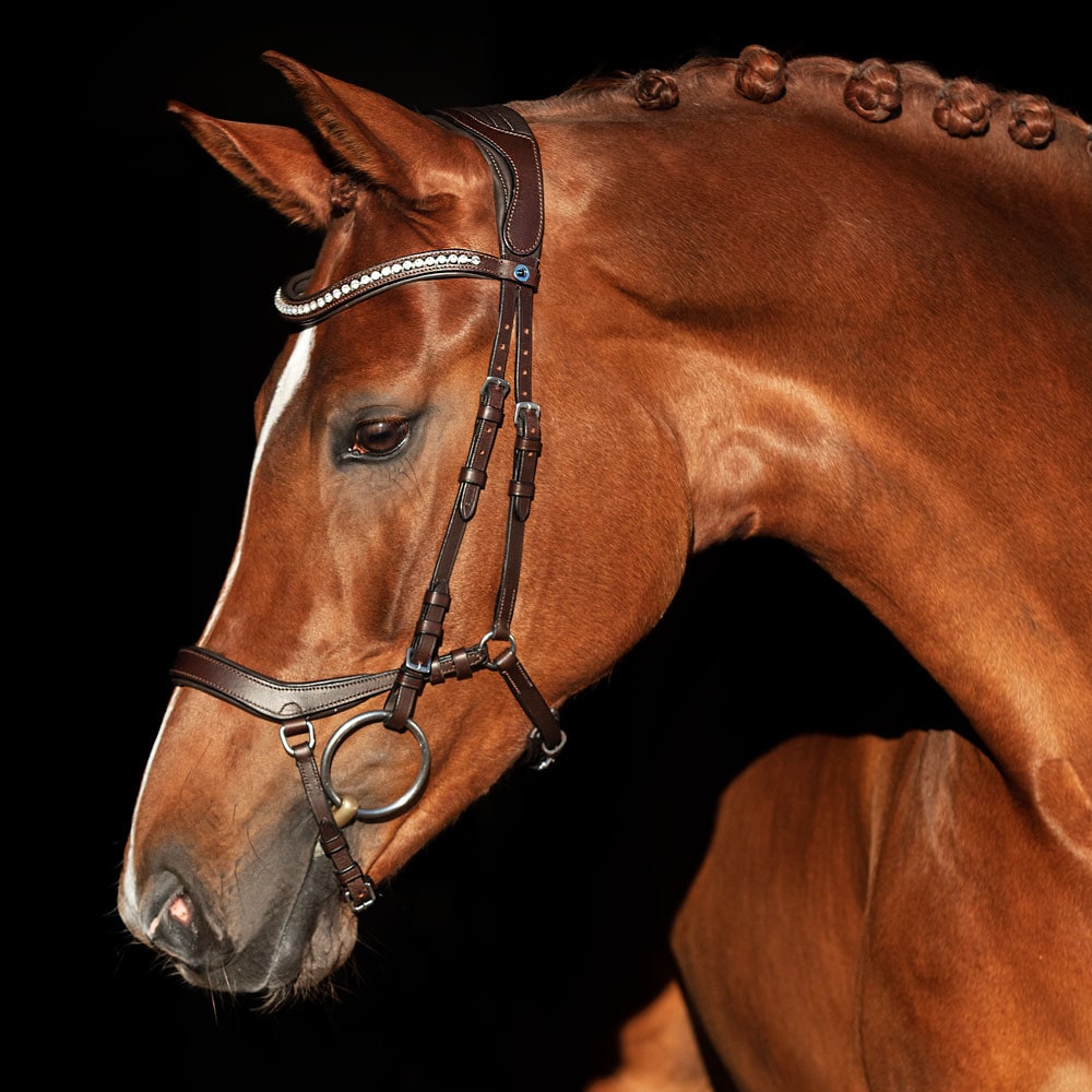 Bridles  Chester II Fairfield®