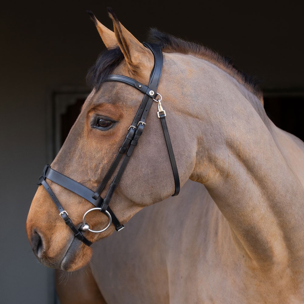 Combined noseband bridle  Foxton Fairfield®