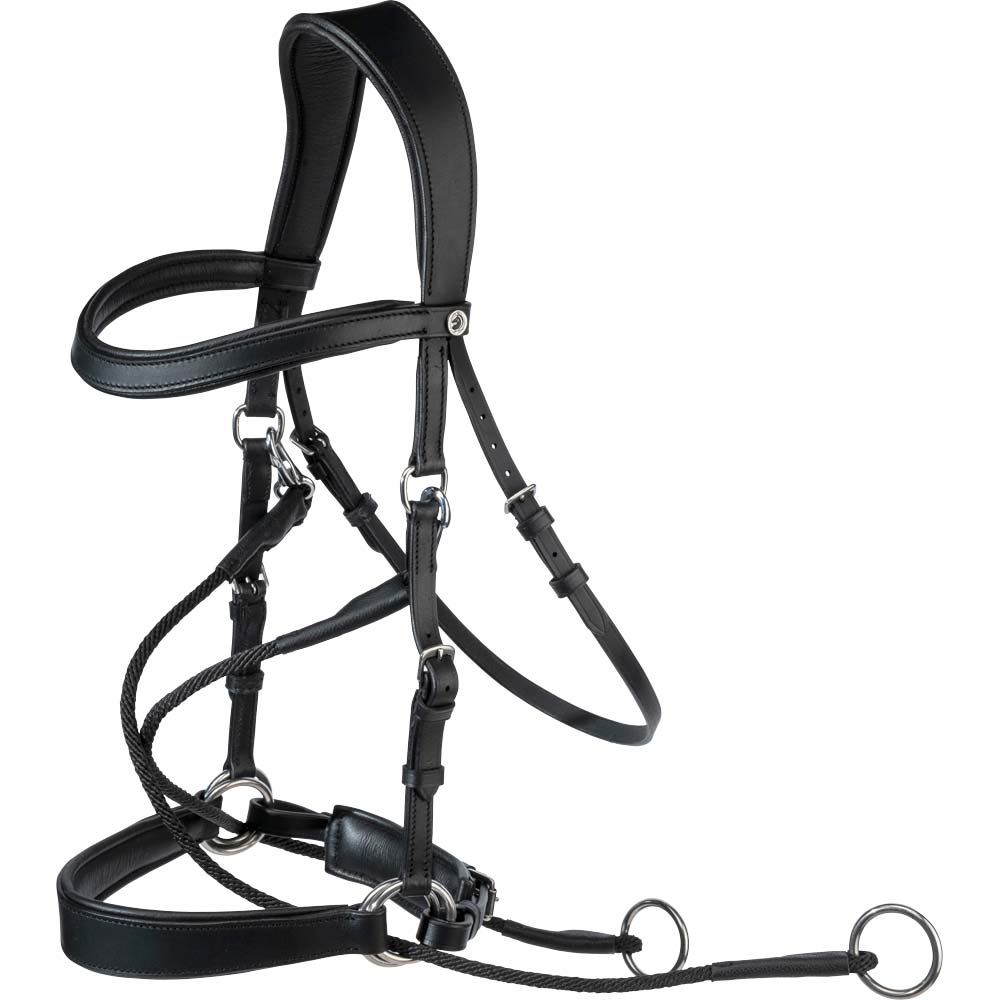 Bitless bridle  Celine Fairfield®