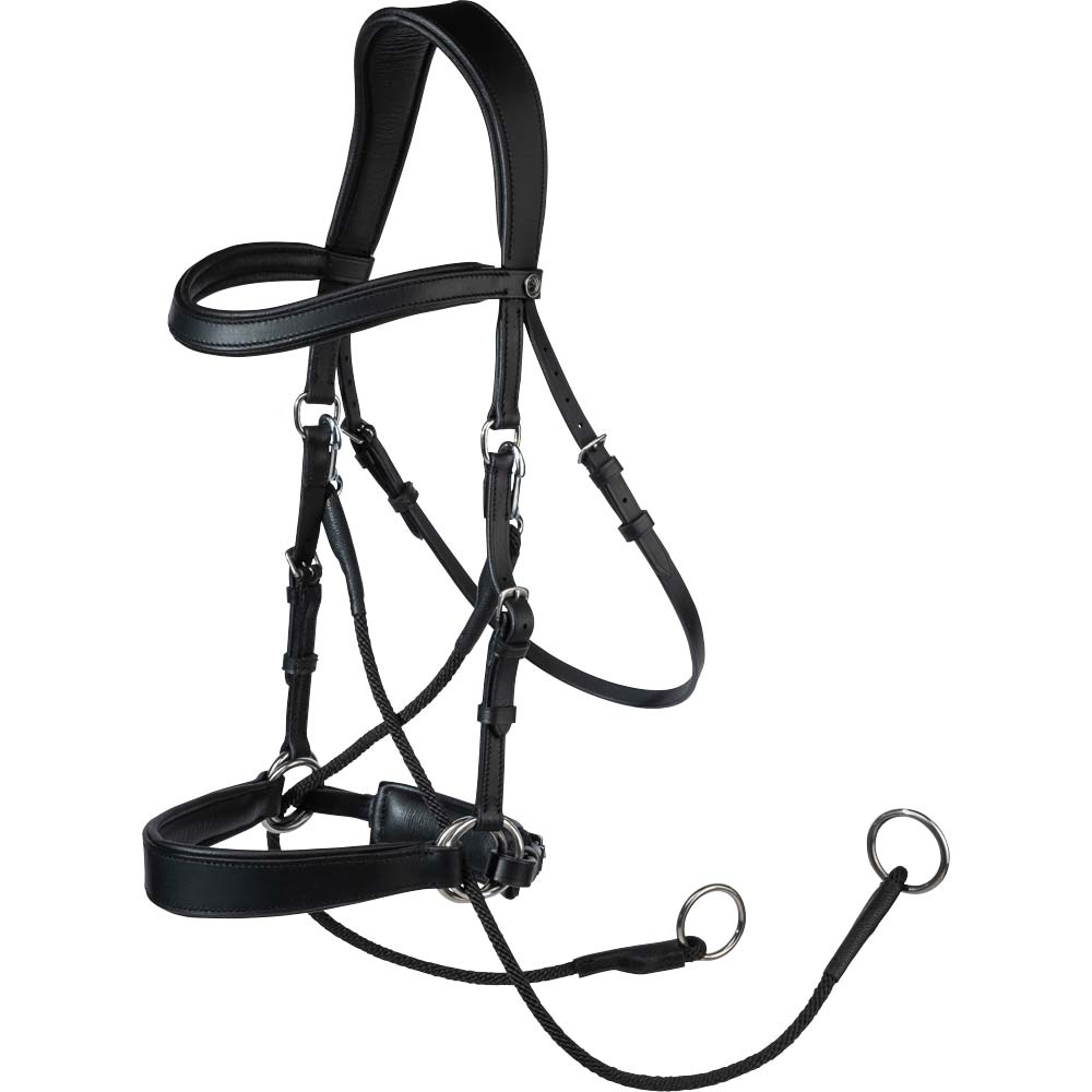 Bitless bridle  Celine Fairfield®