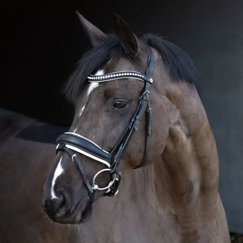 Combined noseband bridle  Marston Fairfield®