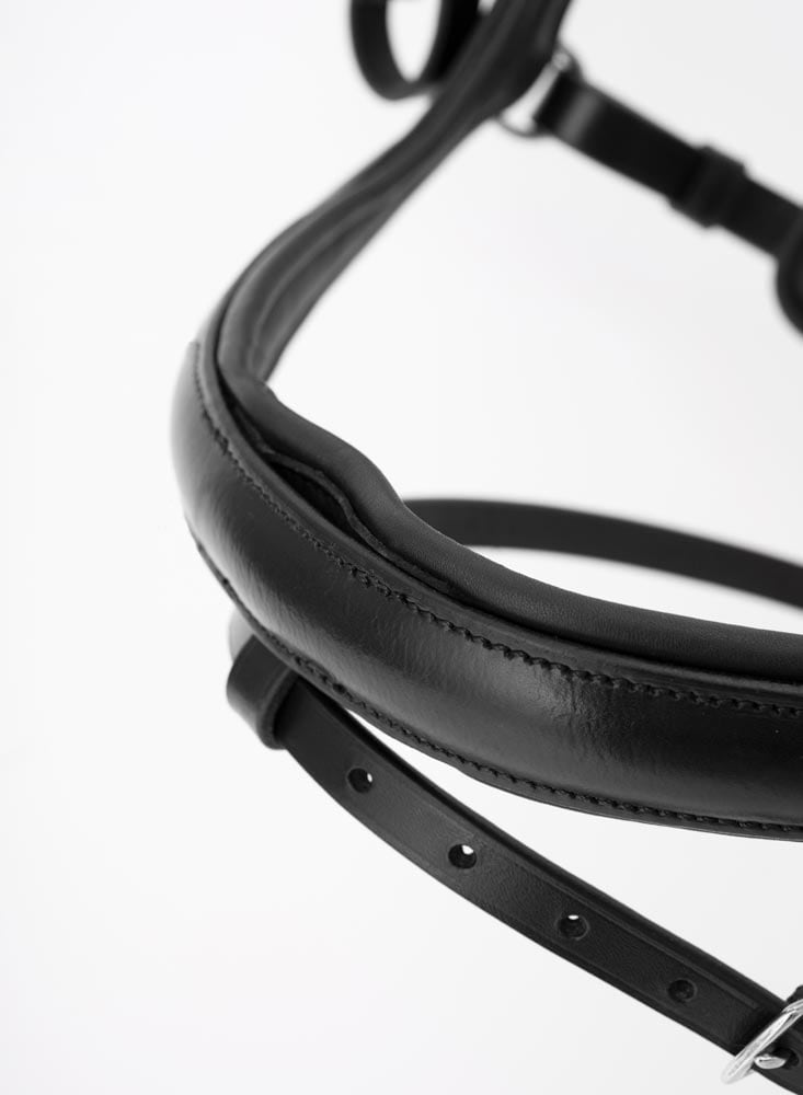 Combined noseband bridle  Sandford Fairfield®