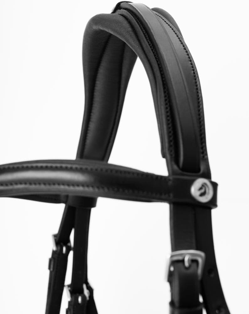 Combined noseband bridle  Sandford Fairfield®