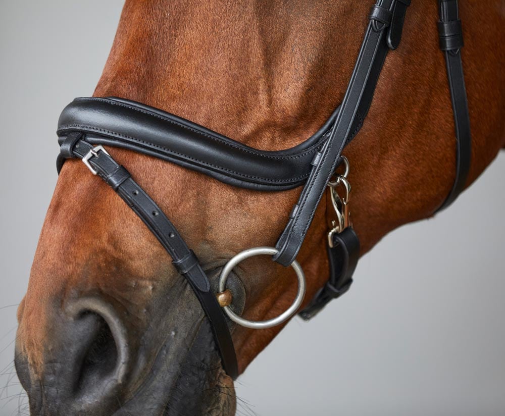 Combined noseband bridle  Sandford Fairfield®