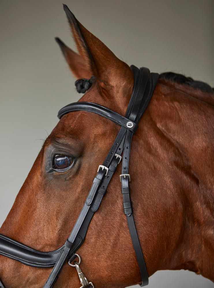 Combined noseband bridle  Sandford Fairfield®