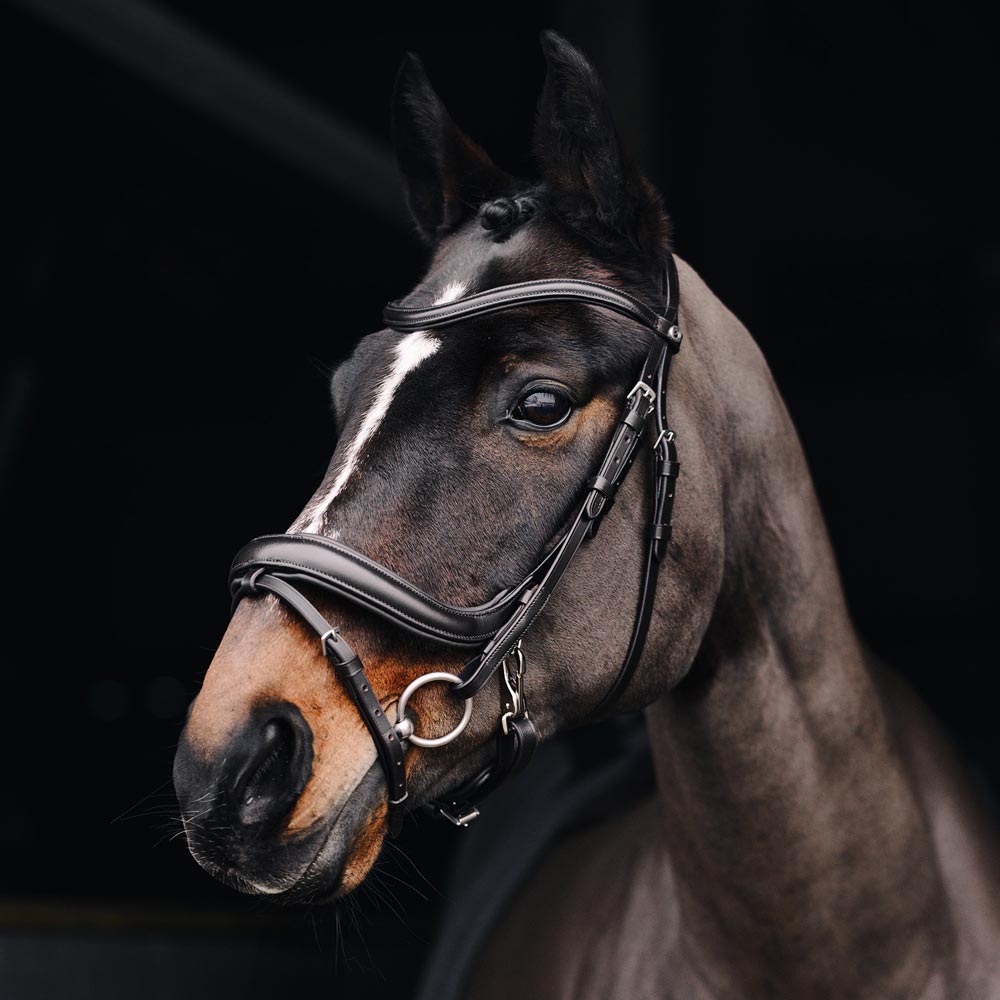 Combined noseband bridle  Sandford Fairfield®