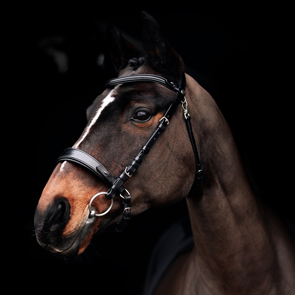 Combined noseband bridle  Heristal Fairfield®