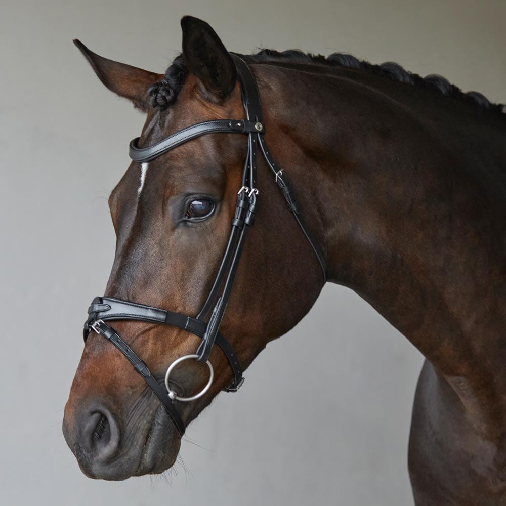 Combined noseband bridle  Hyperion Fairfield®