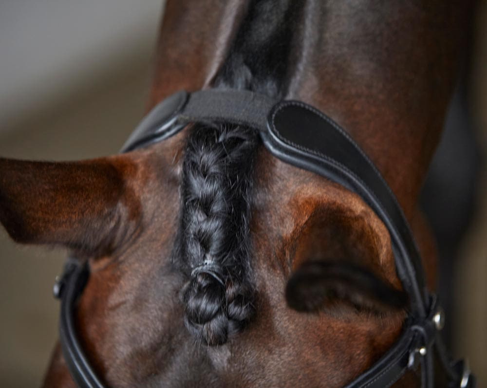Combined noseband bridle  Hyperion Fairfield®
