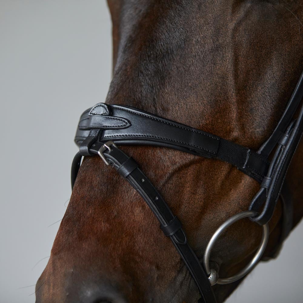 Combined noseband bridle  Hyperion Fairfield®