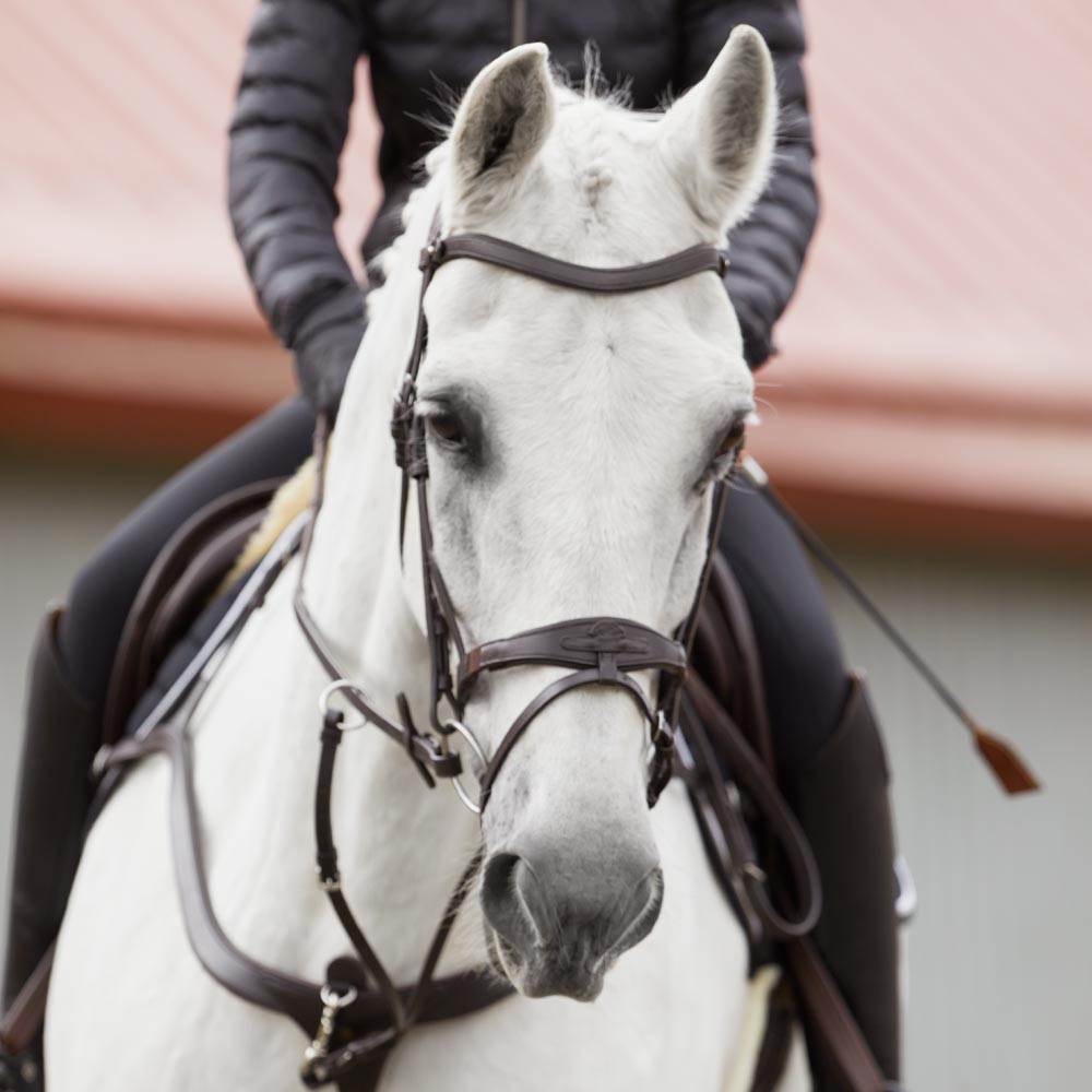 Combined noseband bridle  Hyperion Fairfield®