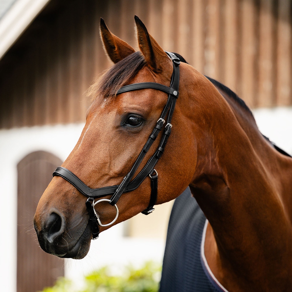 Bridles  Milford Fairfield®