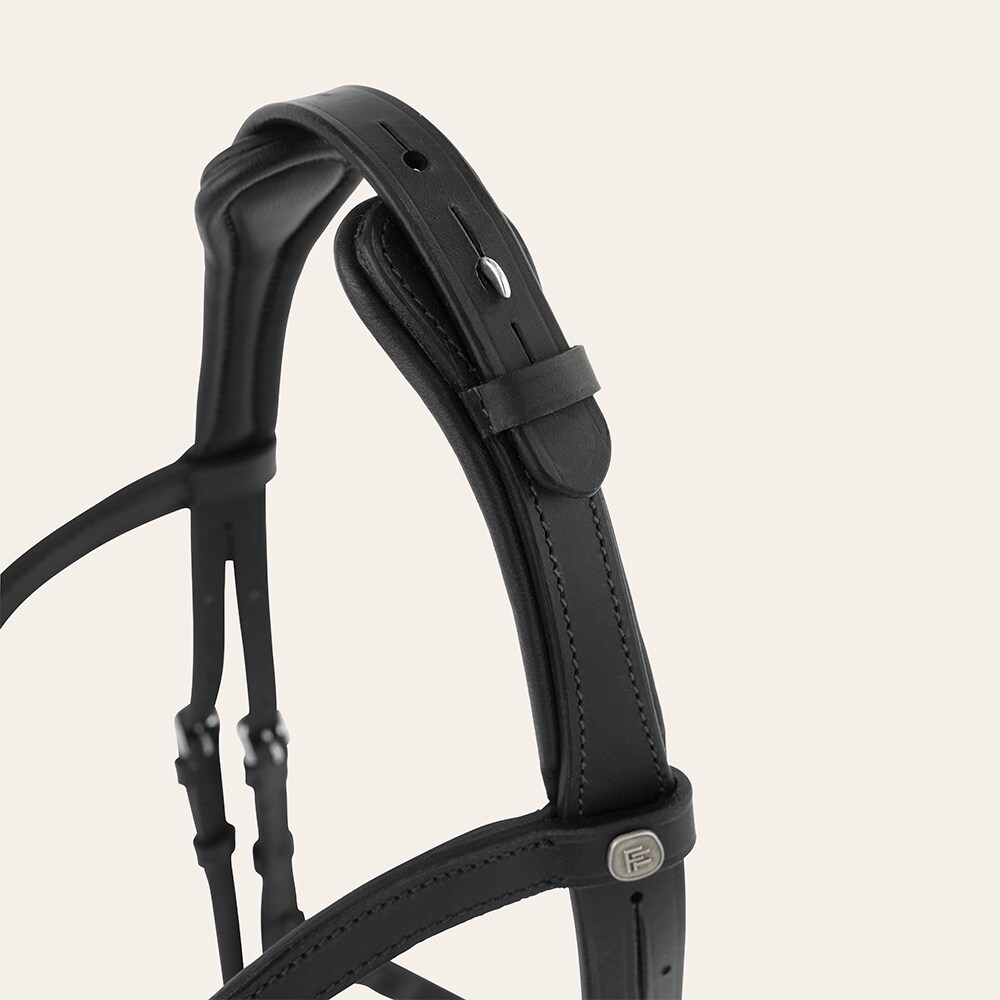 Bridles  Milford Fairfield®